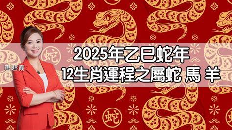 蛇馬羊三會|蛇馬羊三會：2024年逢凶化吉